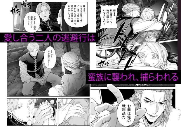 蛮族の花嫁～堕ちた姫君～