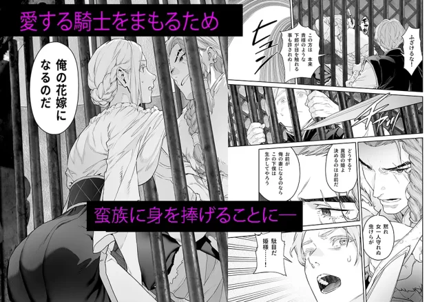 蛮族の花嫁～堕ちた姫君～